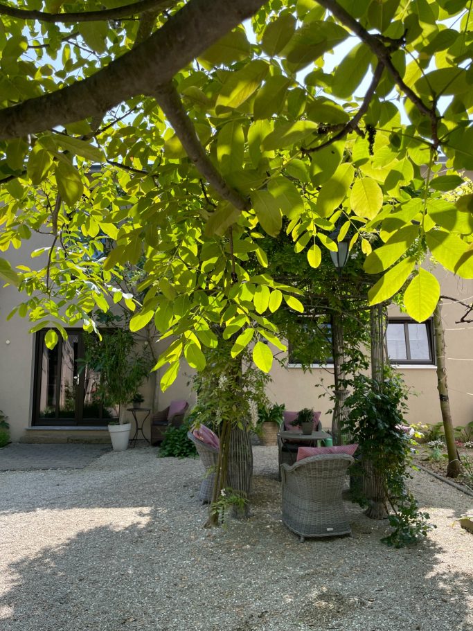 Ein heller Garten mit Blumen und Bäumen, im Hintergrund ein Haus.
