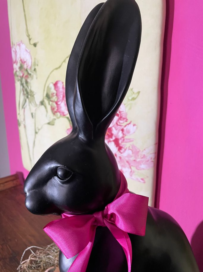 Schwarzer Hase mit langen Ohren und pinkem Band, vor pinkem Hintergrund.