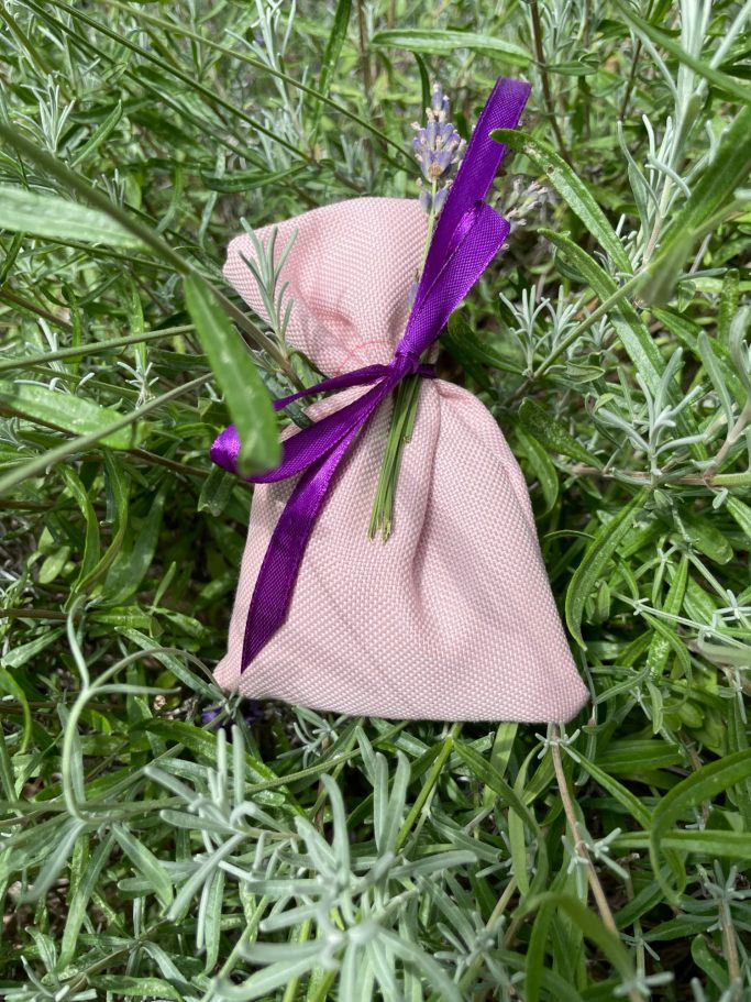 Ein rosa Säckchen mit lila Band, gefüllt mit Lavendelblüten, zwischen grünen Pflanzen.