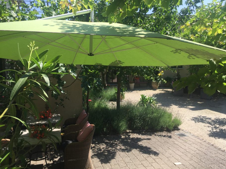 Grüner Sonnenschirm über einem gepflasterten Gartenbereich mit Pflanzen.