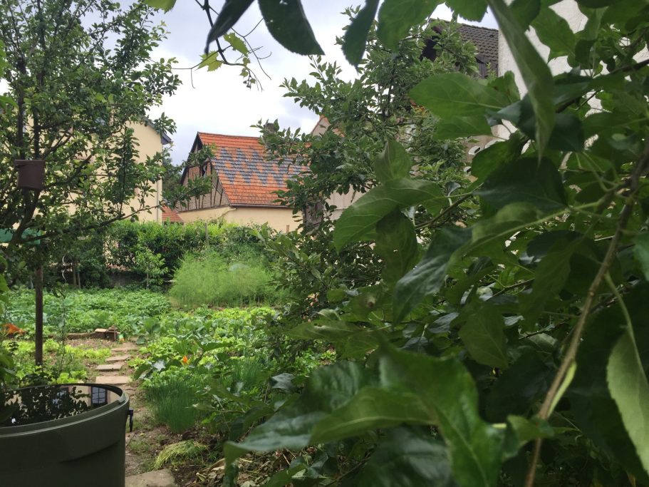 Ein grüner Garten mit Pflanzen, einem Haus im Hintergrund und bewölktem Himmel.