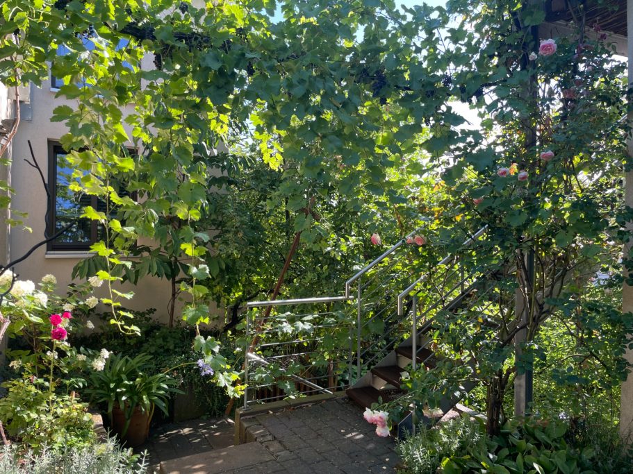 Ein üppiger Garten mit Blumen und grünen Pflanzen, umgeben von Sonnenlicht.
