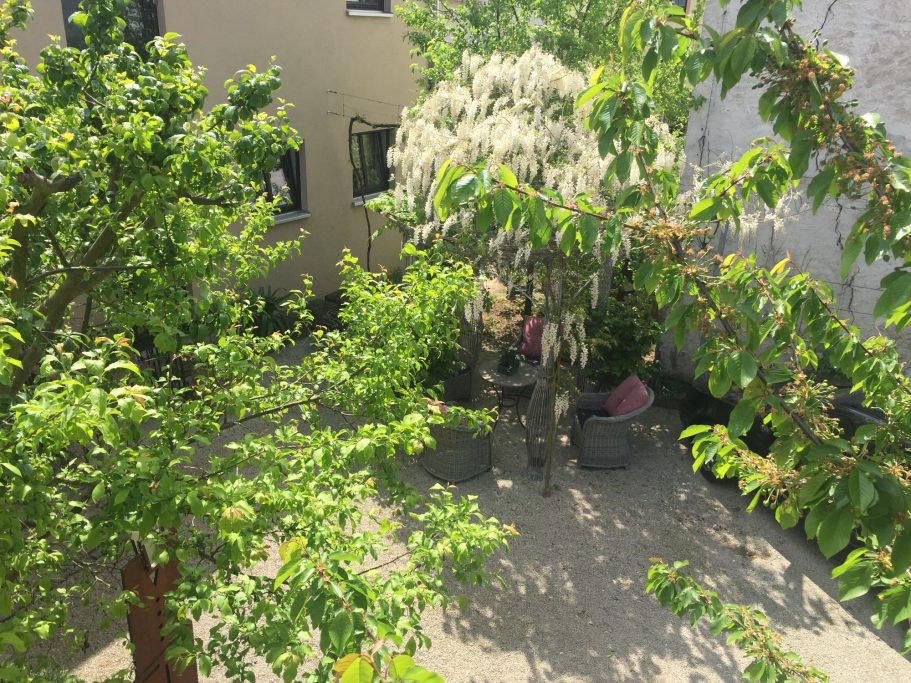Blick in einen Garten mit Bäumen und einer Person, die zwischen Pflanzen steht.