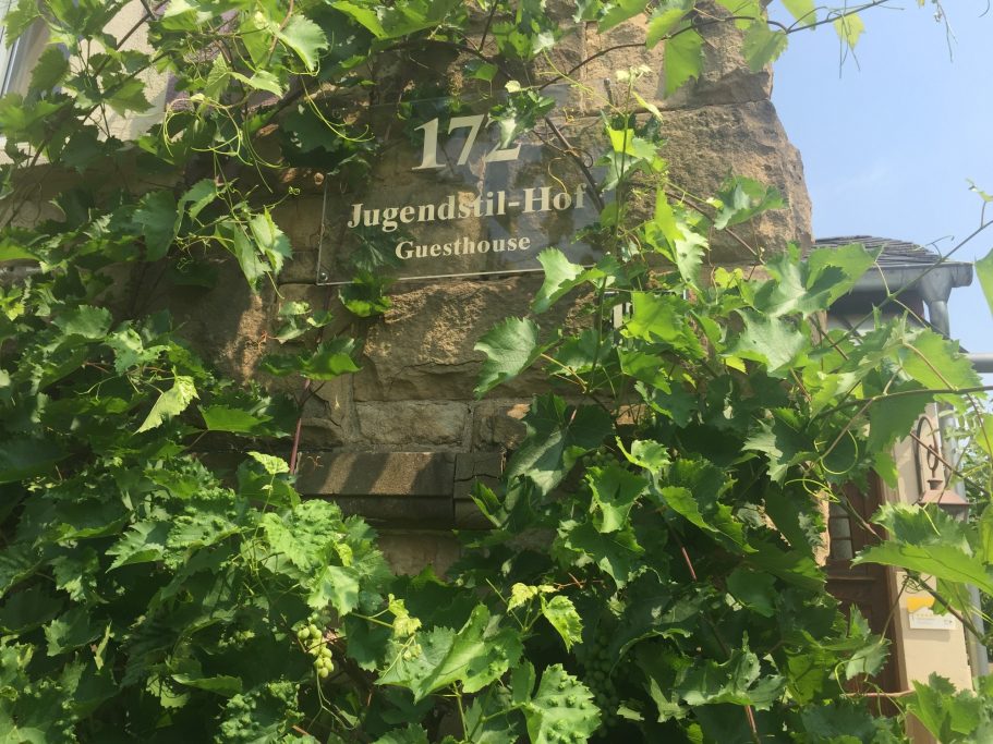 Hausnummer 172 an einer mit Efeu bewachsenen Fassade.