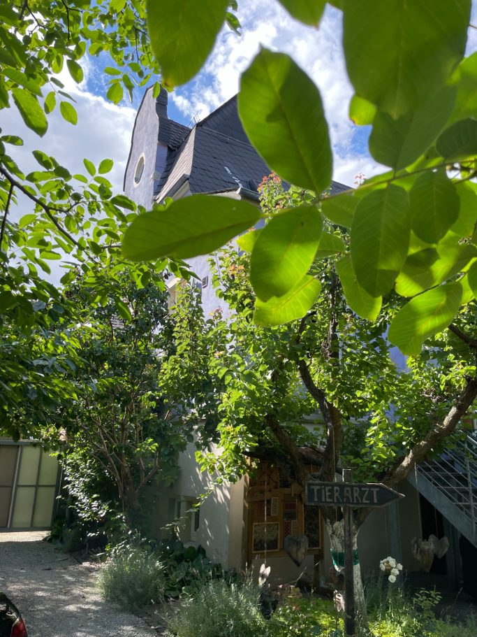 Heller Garten mit Bäumen und Pflanzen, historisches Gebäude im Hintergrund.